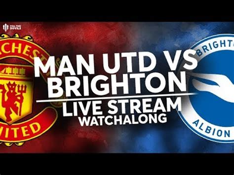 watch man u vs brighton live stream